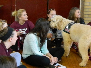 Daisy at Roanoke College Stressbuster